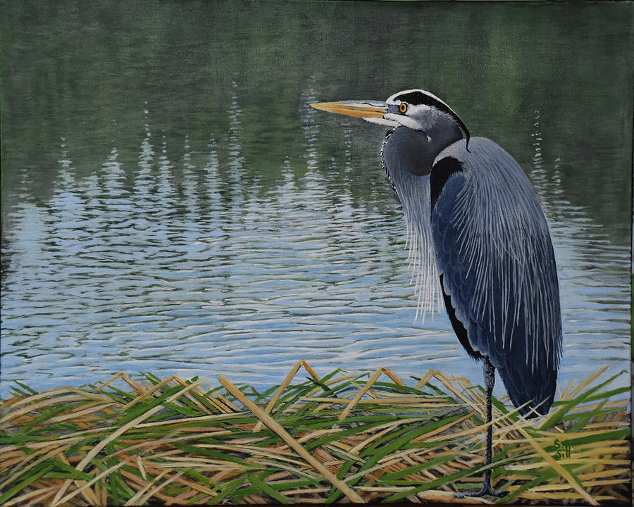 Great Blue Painting by Sue Sill - Fine Art America