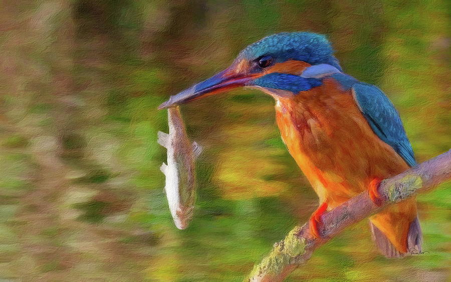 Great Catch - Malachite Kingfisher Digital Art by Russ Harris
