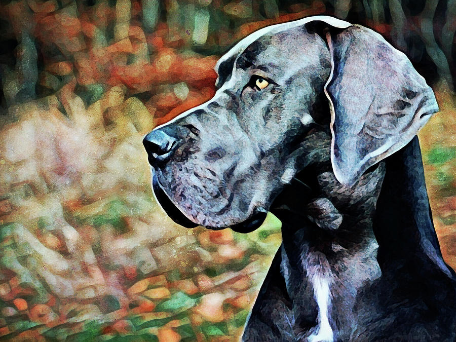 Animal Painting - Great Dane Greatness by Ashley Aldridge