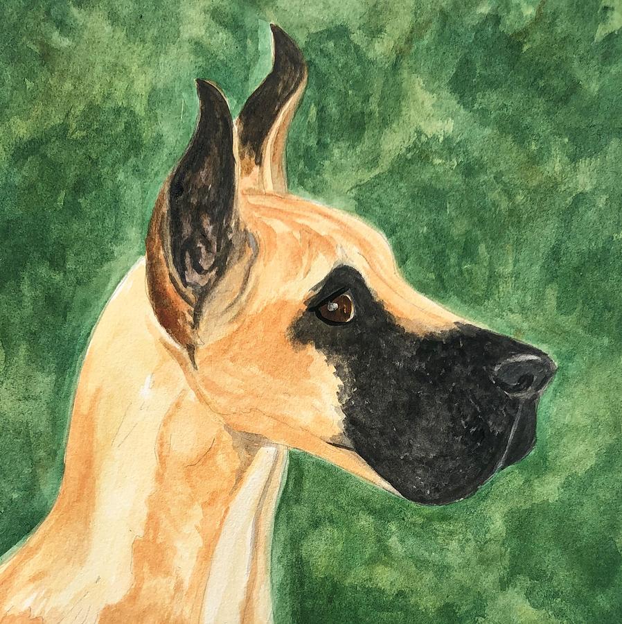 Great Dane Painting - Great Dane by Judy Thompson