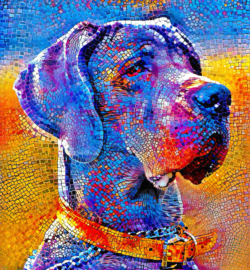 Great Dane portrait - colorful mosaic Digital Art by Nicko Prints