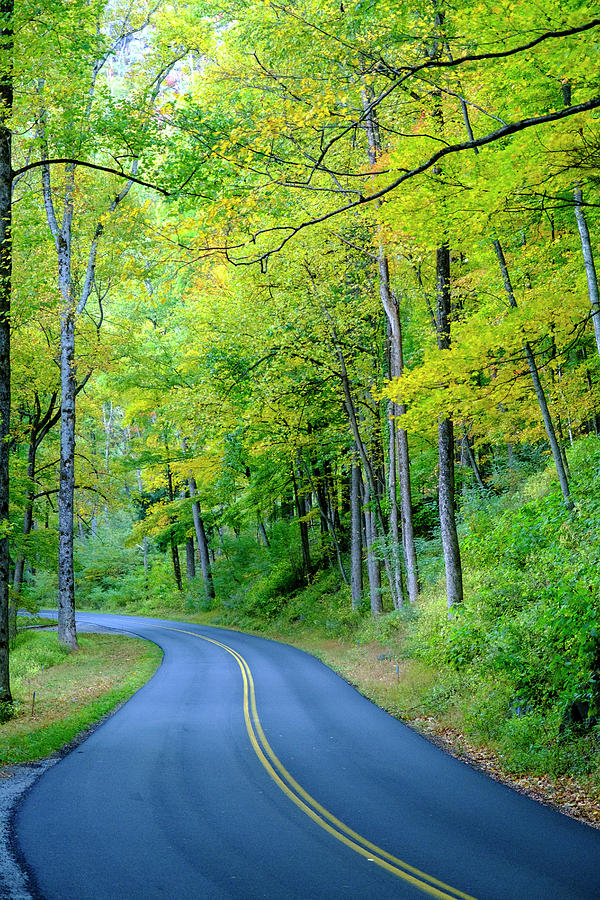 Great Day For A Smokey Mountains Drive Photograph by Tony Locke