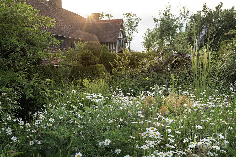 Great Dixter, June Flowers Photograph by Perry Rodriguez