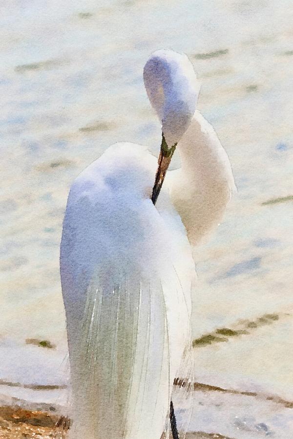 Great Egret Portrait IV Watercolor Mixed Media by Susan Rydberg
