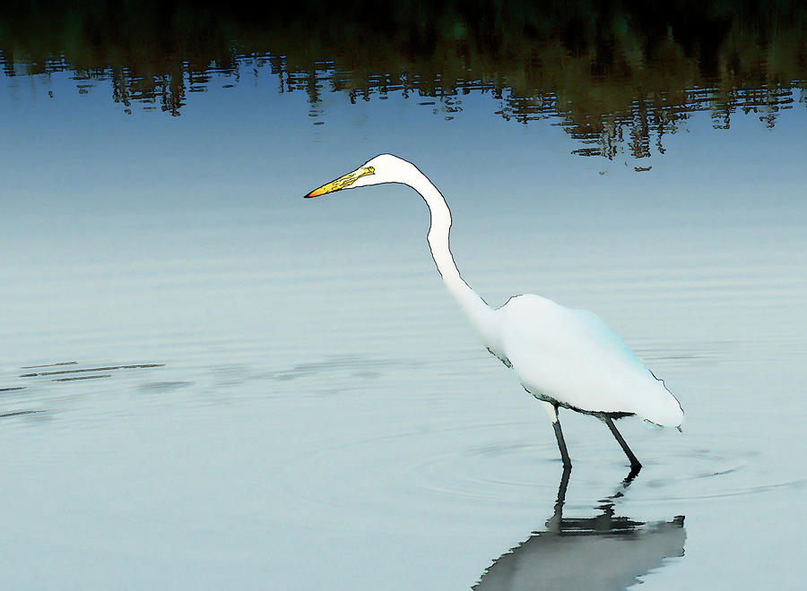 Great Egret Reflected Photograph by Jessica Levant