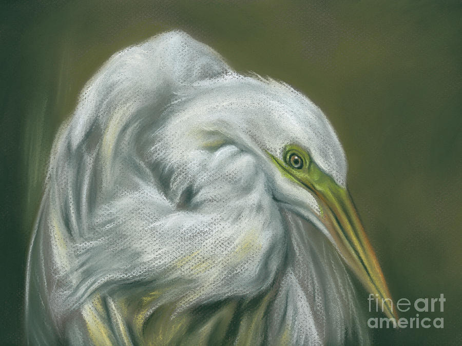Great Egret White Waterfowl Portrait Painting by MM Anderson
