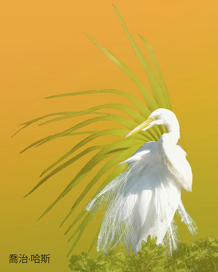 Great Egret with Palm Frond Digital Art by George Harth