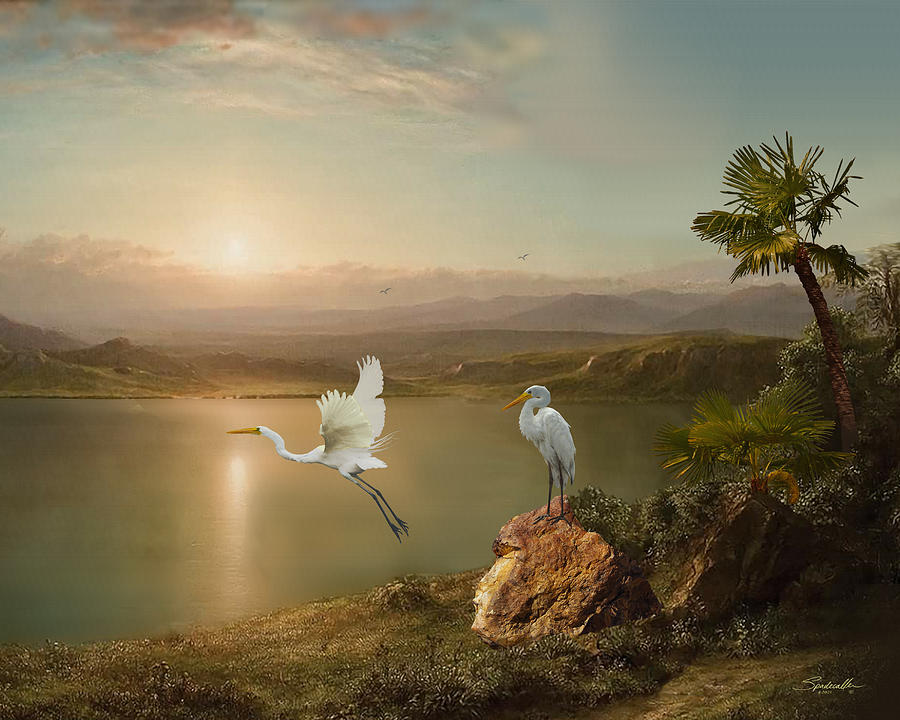 Great Egrets at Twilight  Digital Art by Spadecaller
