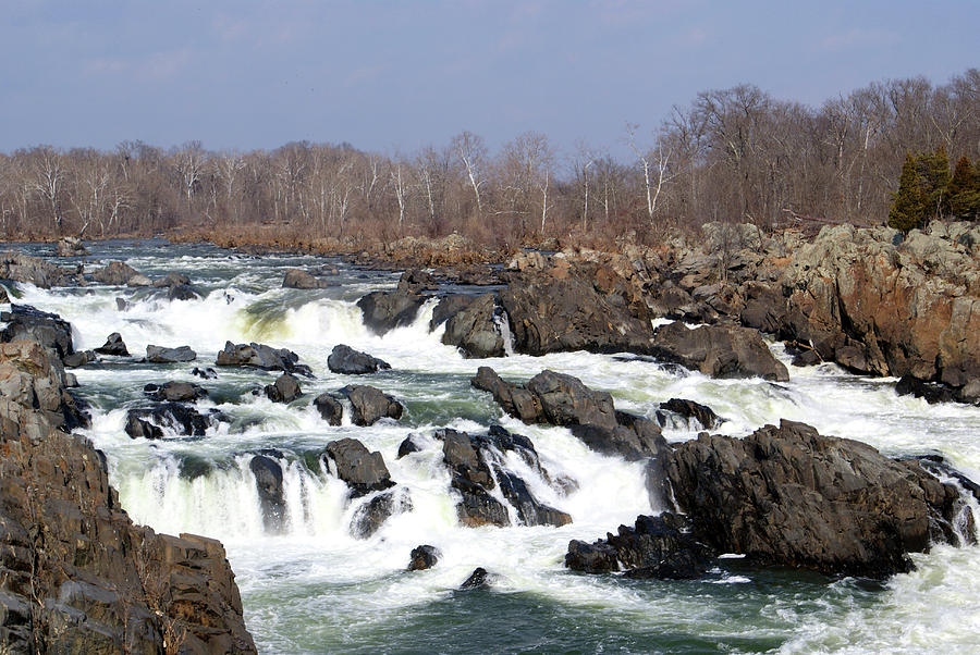 Nature Photograph - Great Falls by Jean Haynes
