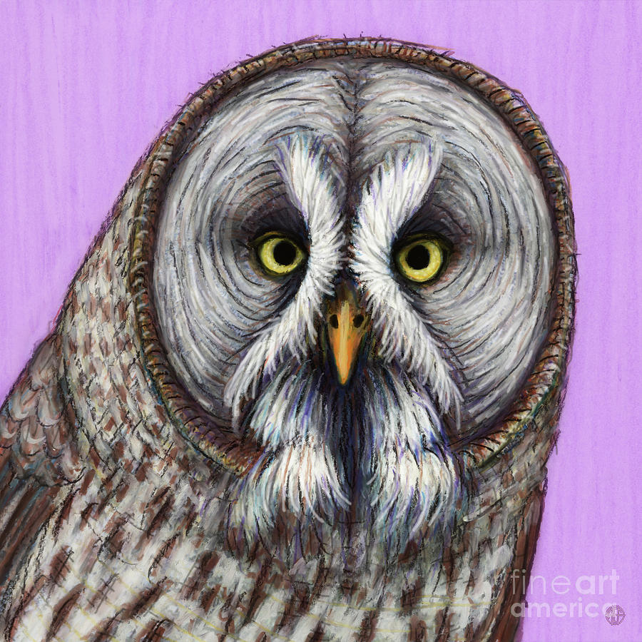 Great Gray Owl Painting by Amy E Fraser