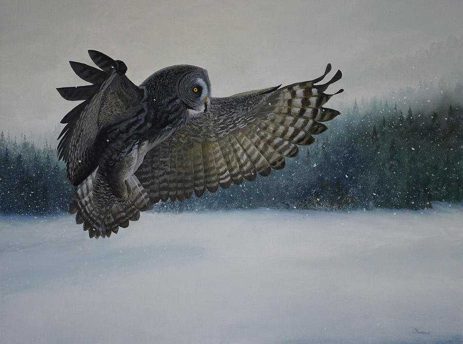 Great Grey Owl Painting by Charles Owens