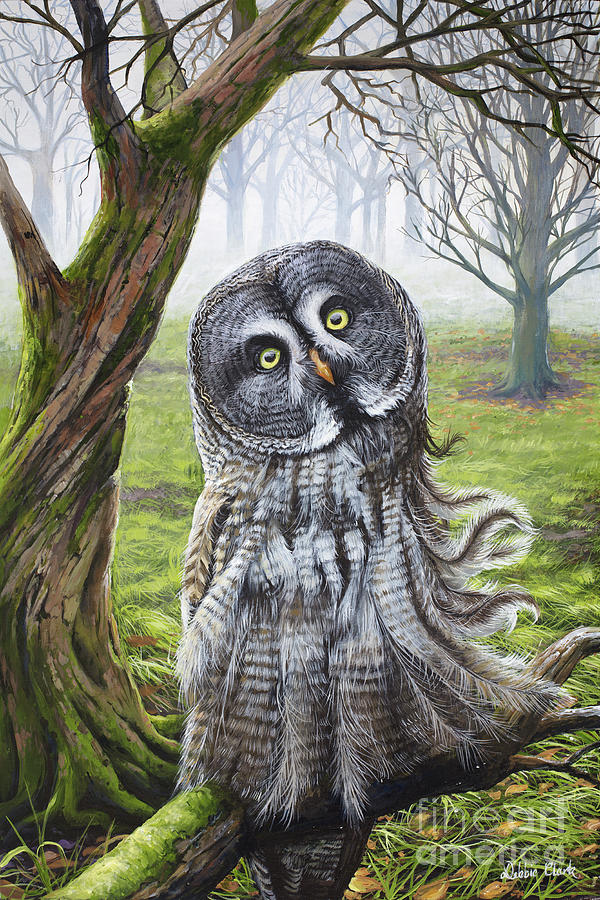 Great Grey Owl Painting by Debbie Clark