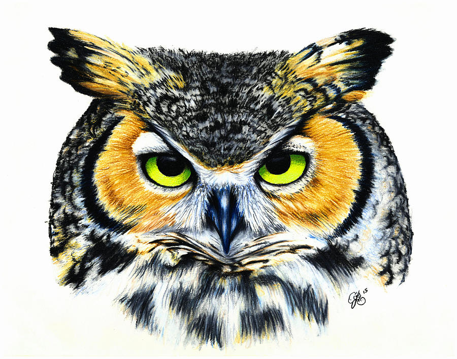 Great Horned Owl 2 Drawing by Scarlett Royale
