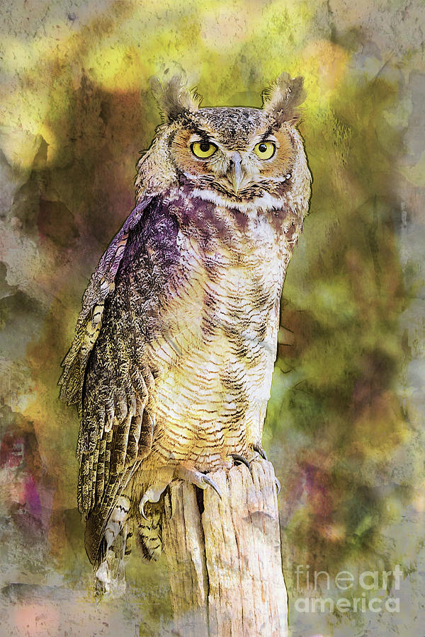 Great Horned Owl Autumn Abstract Digital Art by Sharon McConnell