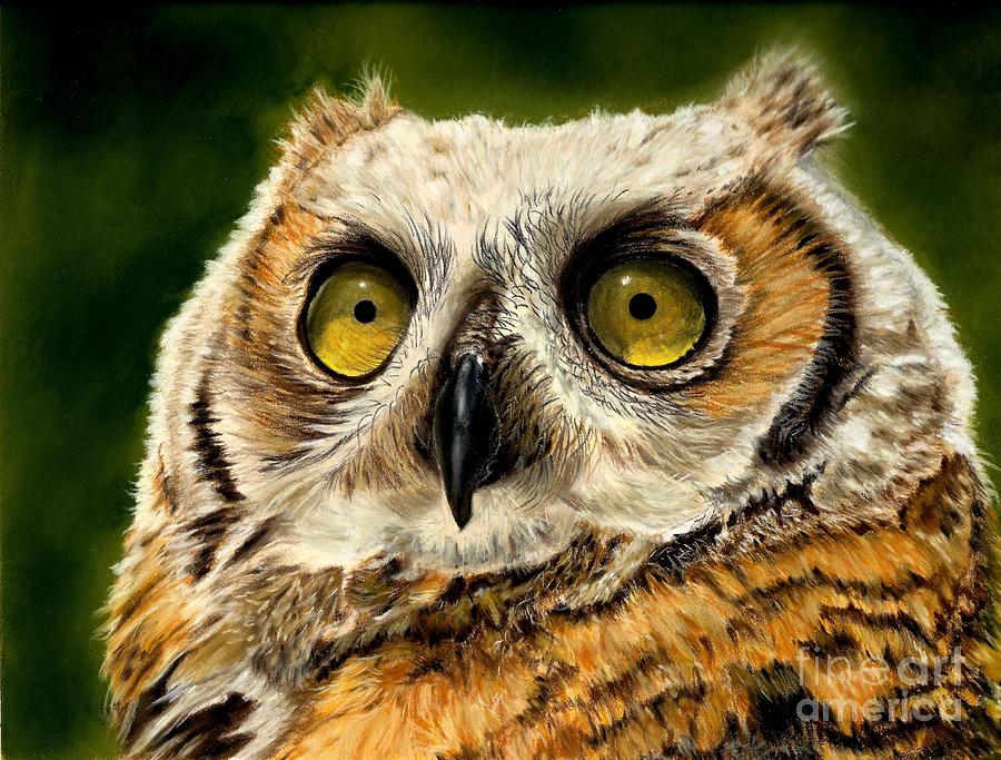 Great Horned Owl Painting By Claudia Iorio - Fine Art America