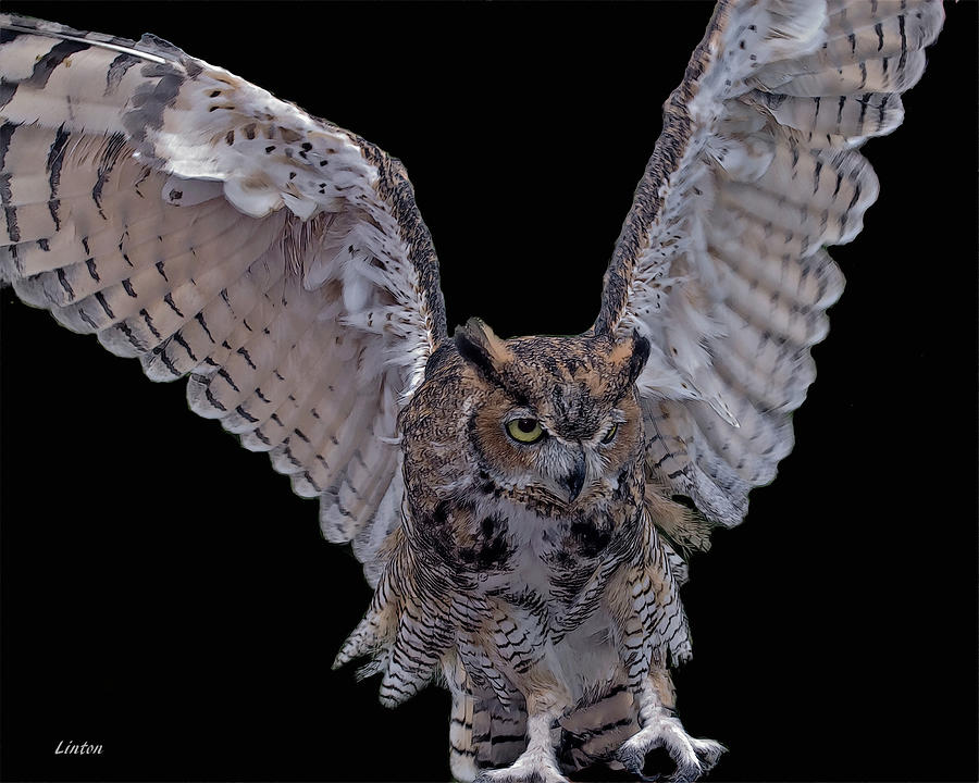 GREAT HORNED OWL cps Digital Art by Larry Linton