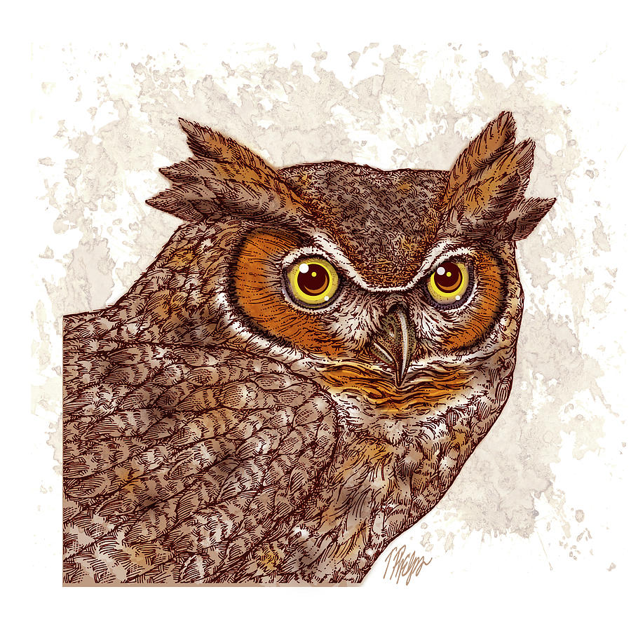 Great Horned Owl Head Study Digital Art by Tim Phelps