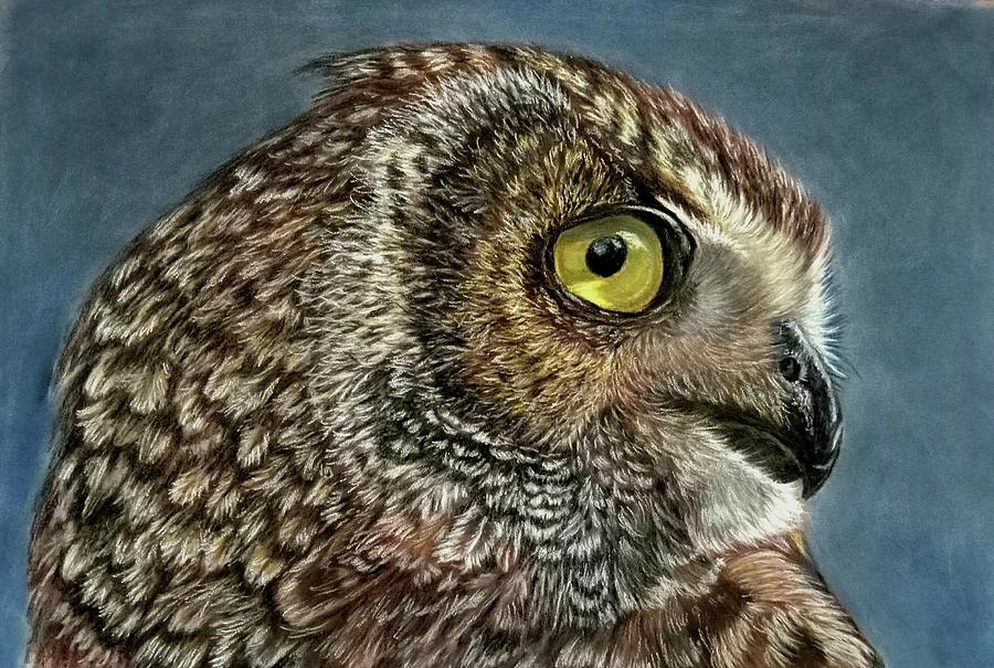 Great-horned owl Pastel by Kerrin Grant - Fine Art America