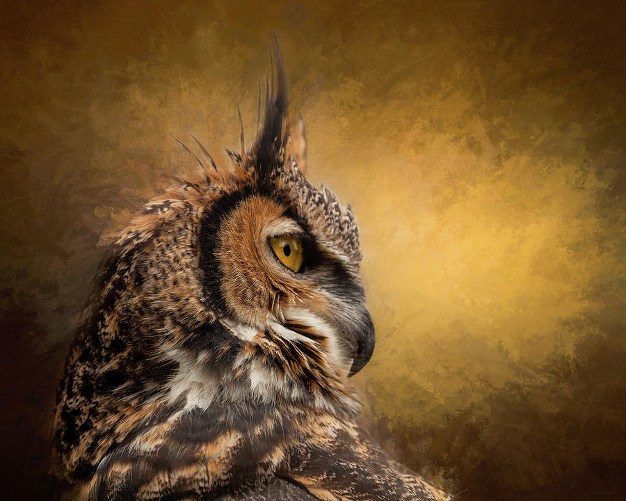 Great horned owl  Painting by Laura Berman
