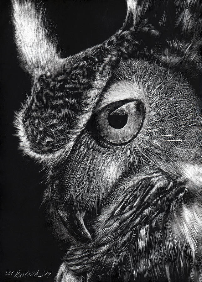Great Horned Owl Drawing by Mark Rasbach Fine Art America
