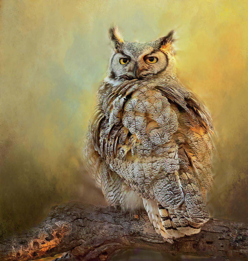 Great Horned Owl Portrait Photograph by Lowell Monke