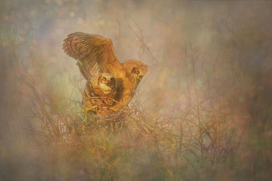Great Horned Owls - Nesting Texture Photograph by Patti Deters