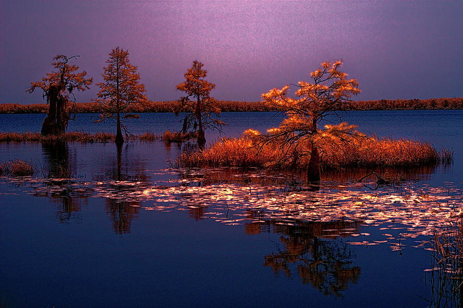 Great Lake by Moonlight fx Photograph by Dan Carmichael