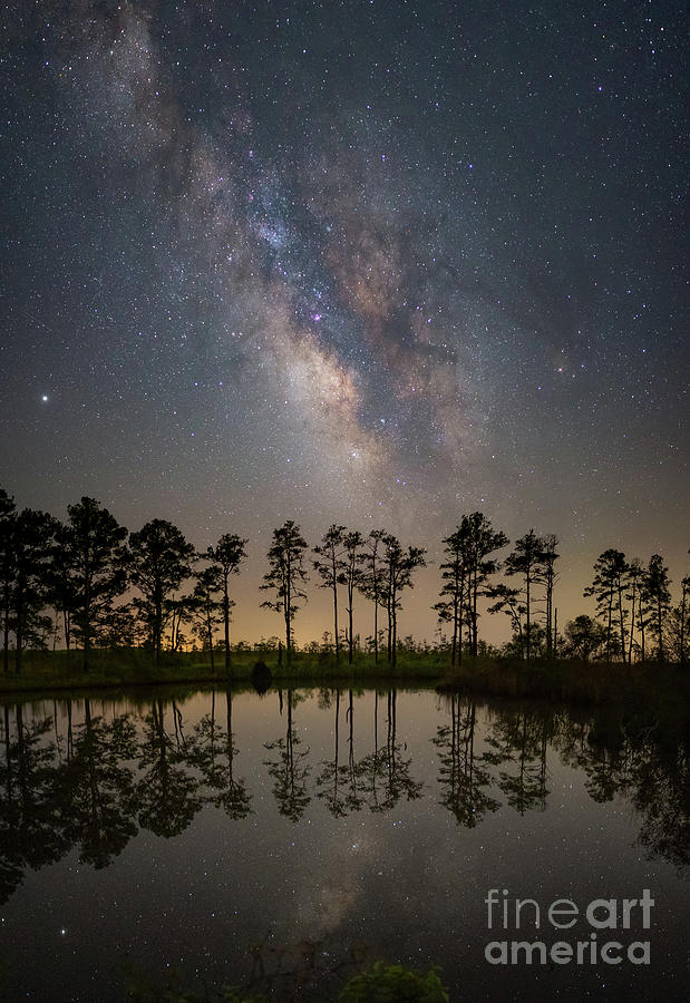 Great Marsh Milky Way Photograph by Michael Ver Sprill