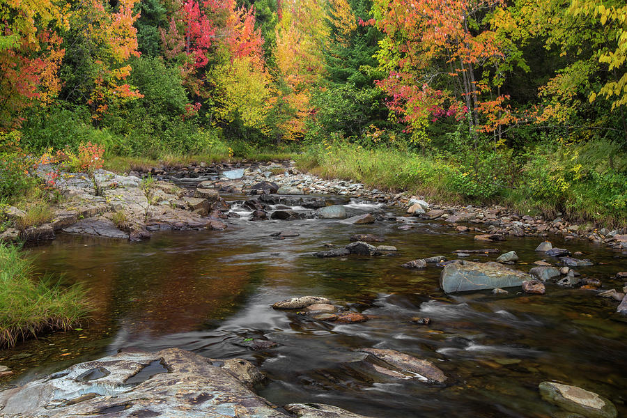 Great North Woods Autumn Stream Photograph by White Mountain Images