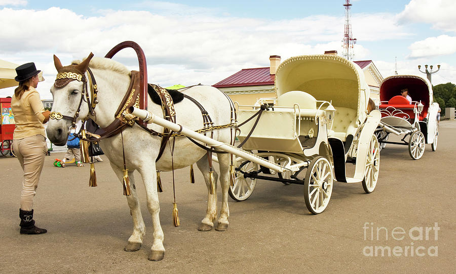 Great Novgorod, excursion carriages Photograph by Irina Afonskaya