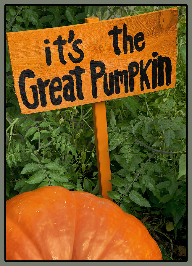 Great Pumpkin and Sign Photograph by Phil Cardamone