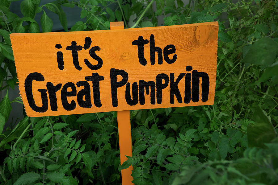 Great Pumpkin Sign Photograph by Phil Cardamone