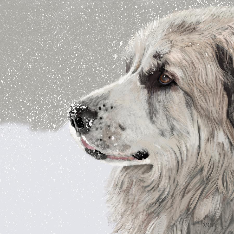 Great Pyrenees Digital Art By Victoria Newton Fine Art America   Great Pyreneese Victoria Newton 