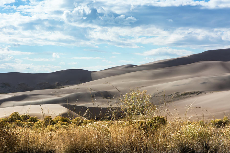 Great Sand Dune National Park And Preserve Photograph by John Bartelt ...