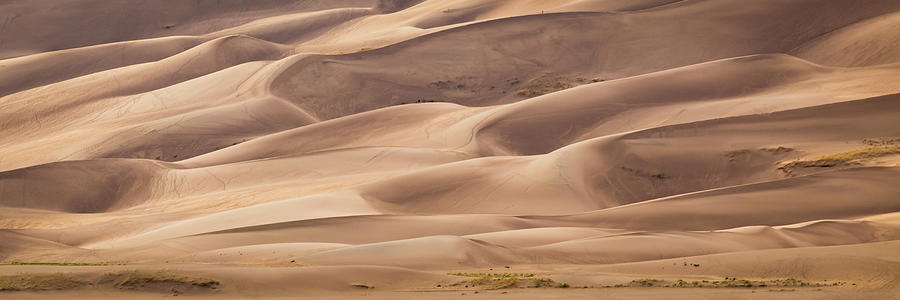 Great Sand Dunes 1X2 Photograph by Joe Kopp