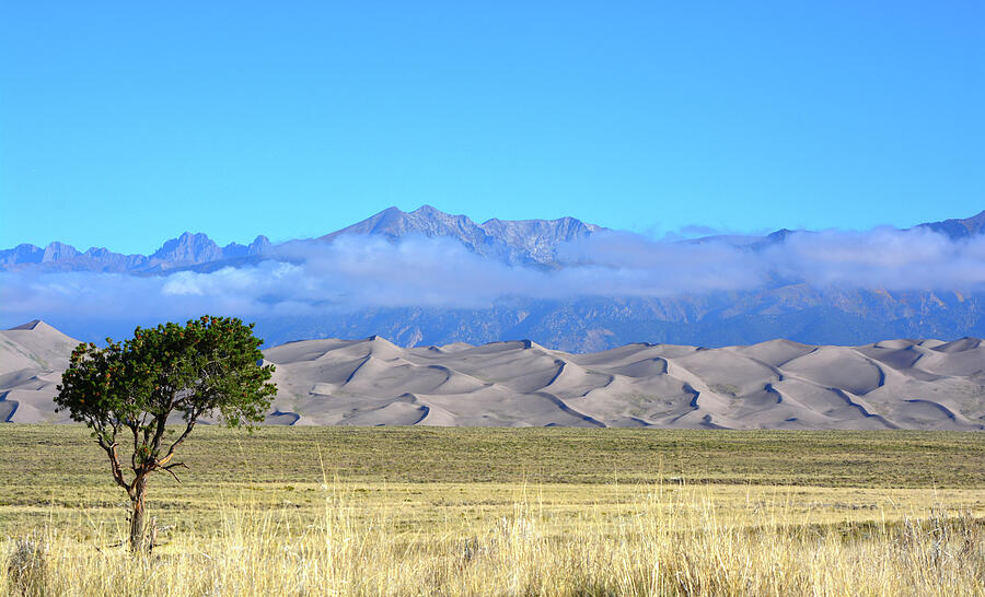 Great Sand Dunes Photograph by Barbara Sophia Travels