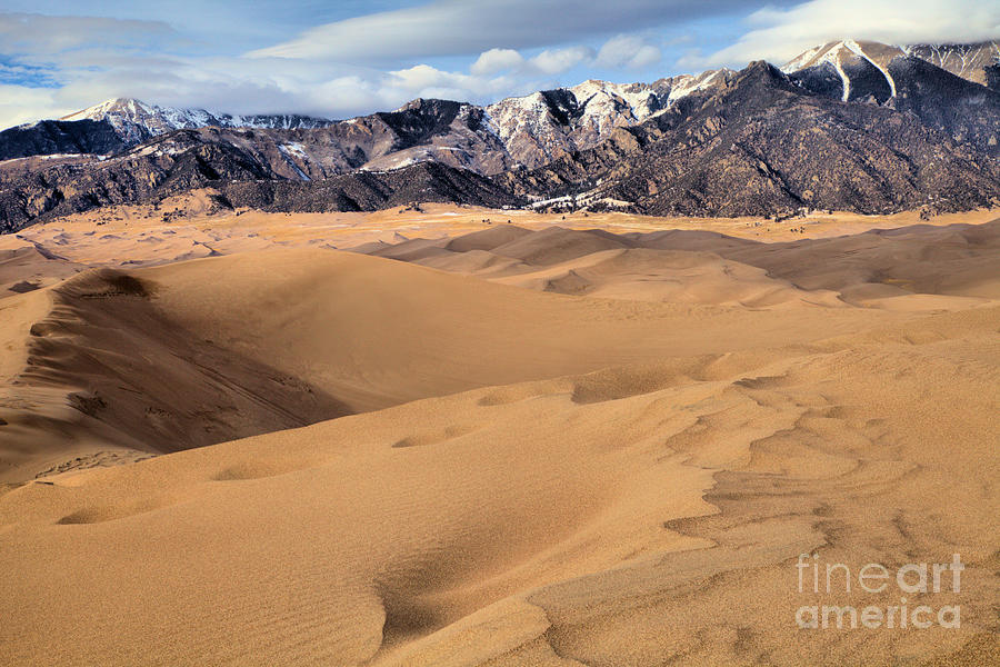 Great Sand Dunes Below The Snow Capped Peaks Photograph by Adam Jewell