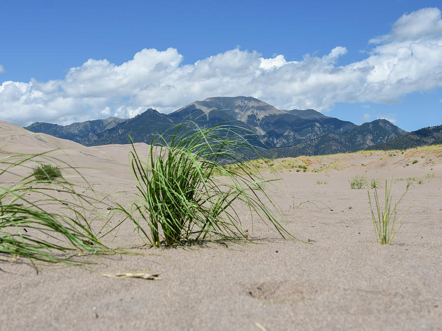 Great Sand Dunes National Park Photograph by Andrew Keller