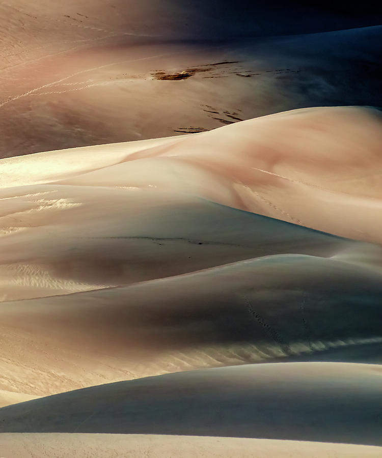 Great Sand Dunes National Park V_01 Photograph