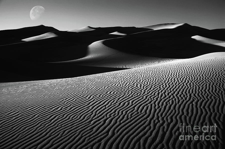 Great Sand Dunes Photograph by Timothy Johnson