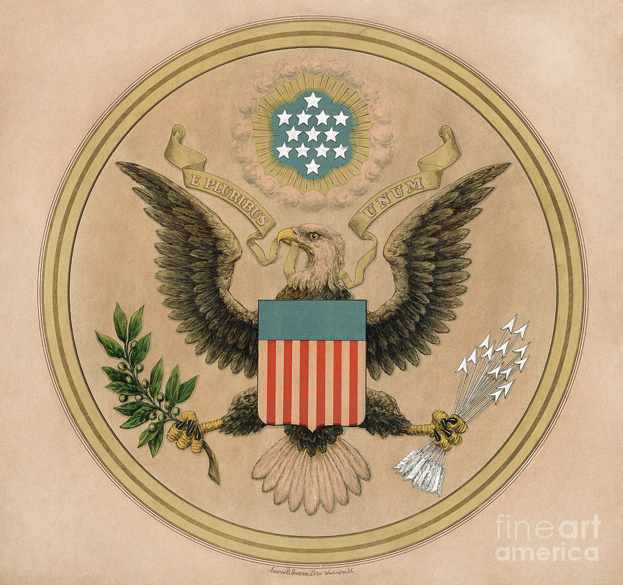 Great Seal - United States Drawing by Andrew Graham Great Seal - United States Drawing by Andrew Graham
