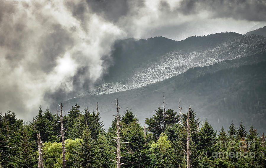 Great Smokies Mountain Clouds Photograph by Charline Xia