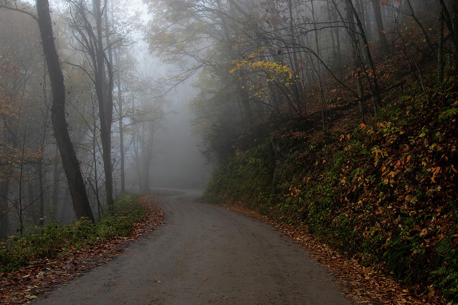 Great Smoky Mountain Foggy Day Photograph by Norma Brandsberg