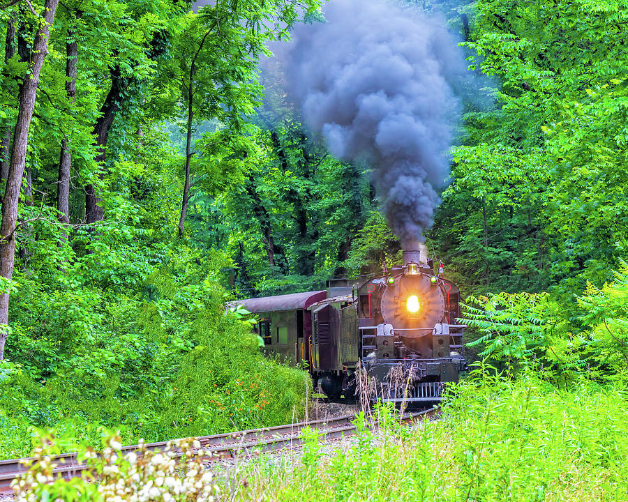 Great Smoky Mountain Railroad in Nantahala National Forest Photograph ...