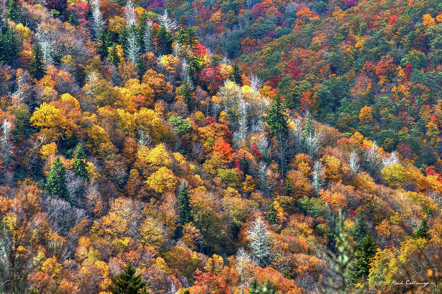 Great Smoky Mountains Autumn Trees Blue Ridge Parkway Landscape Art Photograph by Reid Callaway