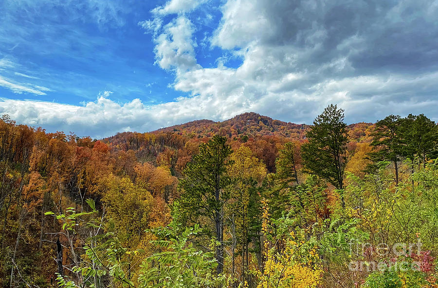 Great Smoky Mountains in Autumn Photograph by Kerri Farley