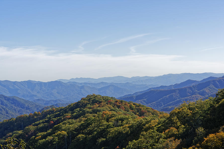 Great Smoky Mountains in North Carolina Photograph by Photo by Cathy Scola Great Smoky Mountains in North Carolina Photograph by Photo by Cathy Scola