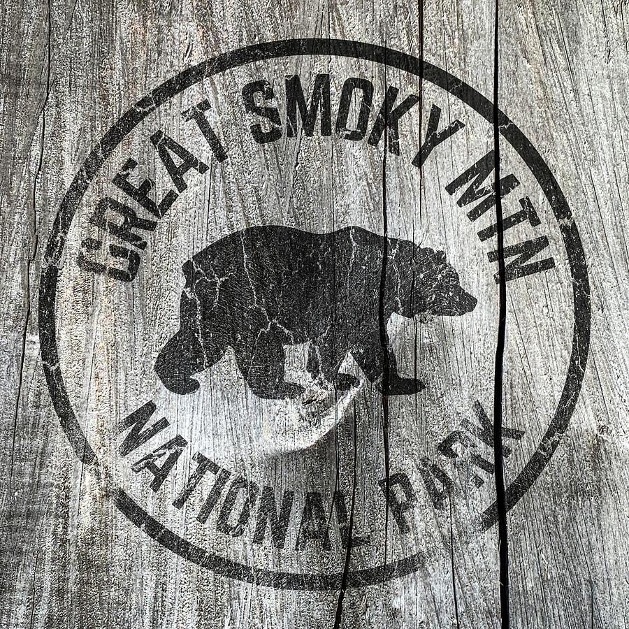 Great Smoky Mountains National Park Black Bear Wood Vintage Print Digital Art by Aaron Geraud