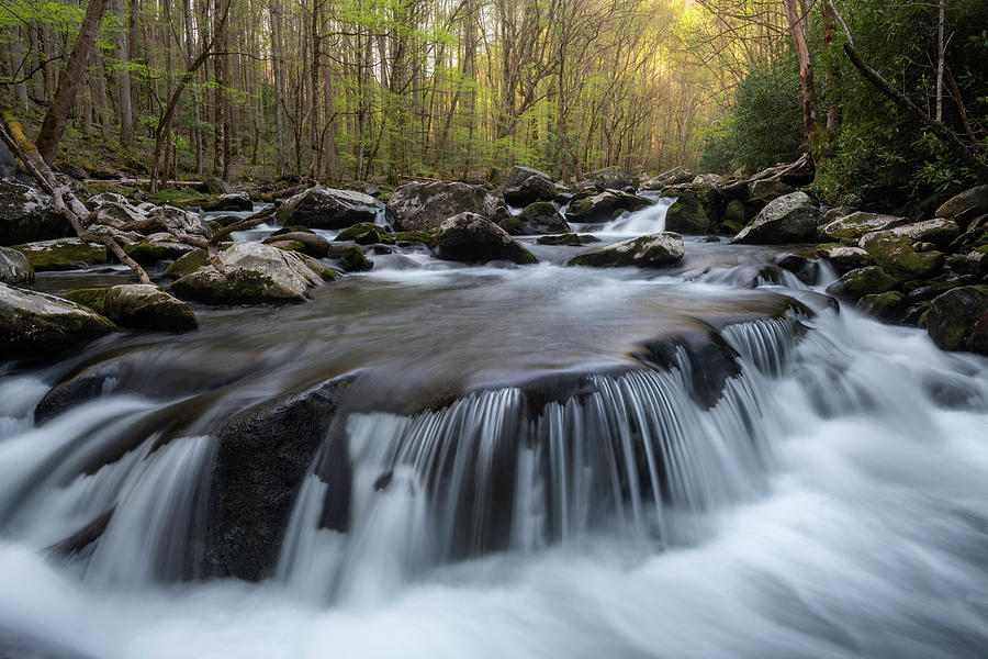 Spring Photograph - Great Smoky Mountains National Park by Mark VanDyke