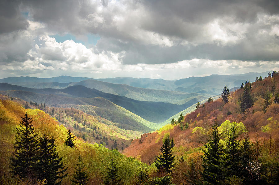 Great Smoky Mountains National Park Nc Arrival Photograph